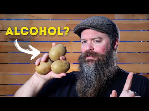 Kann man aus Kiwis Brandy herstellen?