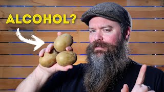 Can You Make Brandy From Kiwi Fruit?
