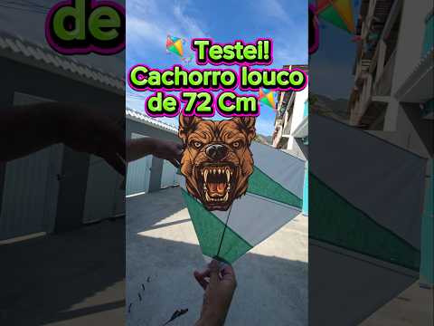 Testei a Pipa Cachorro Louco de 72 Cm #fyp #pipa #kiteflying #kite #patang #shorts #viral #ytshorts
