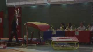 preview picture of video 'Compèt gym Marans 2013'
