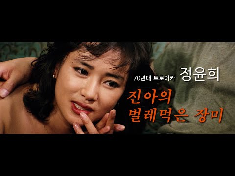 진아의 벌레먹은 장미 예고편 Jin-ah's Rose Eaten By Bugs (1982)