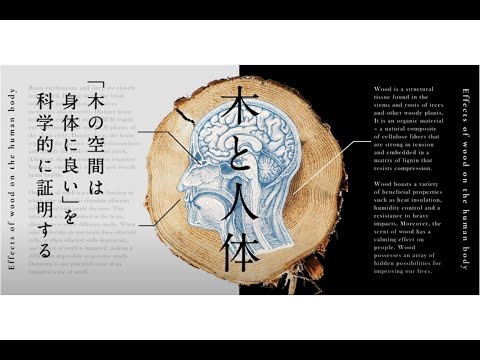 三井不動産東大ラボ 「木と人体」に関する研究紹介～「木の空間は身体に良い」を科学的に証明する～
