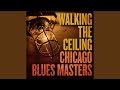 Today I Sing the Blues