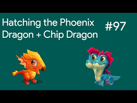 Hatching The Phoenix Dragon + Chip Dragon | DML Gameplay #97