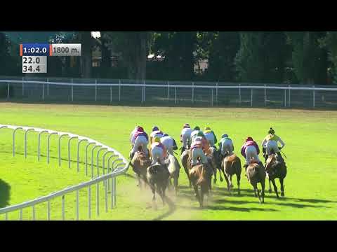 16.08.2020 (D24; G6; Tor: 2,5; 28°C) Nagroda Trafa