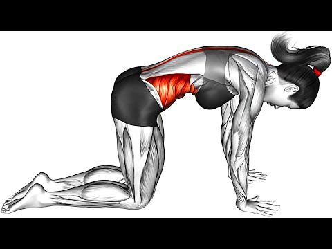 8 Exercises You Should Be Doing Every Morning