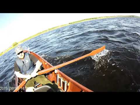 Tornionjoki Matkakoski 8 4 kg 2019