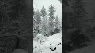 preview picture of video 'Wowww Heavy Snow Fall Azad Kashmir Pakistan 2019'