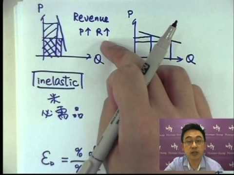 Herman Yeung - Calculus on Economics 2 (Elasticity 2) 經濟微積分2 (彈性2)
