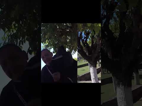 viaje catamarca 🏍️ | La Cuesta del Portezuelo y su magia nocturna" – Travesías Ruteras