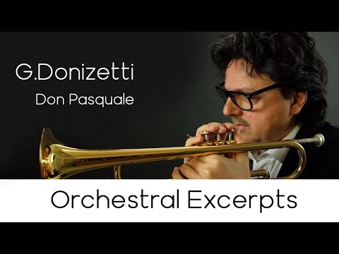 Orchestral Excerpts n.4 "Don Pasquale" - Andrea Giuffredi