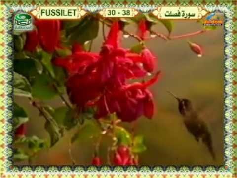 Muhammed sıddık el minşevi - Fussilet suresi