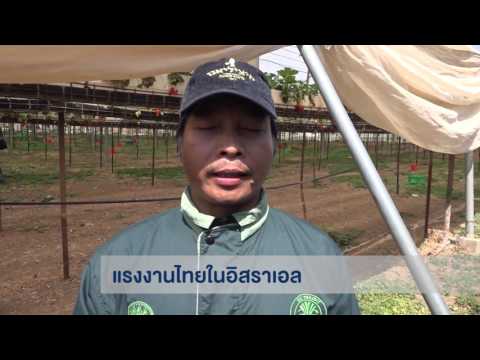 โบราณคดีพบค้อนของ ธ อร์ วิธีการกลับผู้หญิงแรง