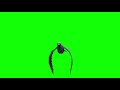 Pigeon Flying On The Spot Green Screen Animation