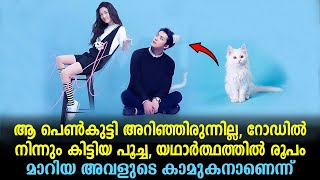Catman Explained In Malayalam | Chinese Movie Malayalam explained #movies