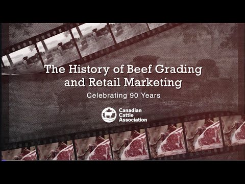 The History of Beef Grading and Retail Marketing