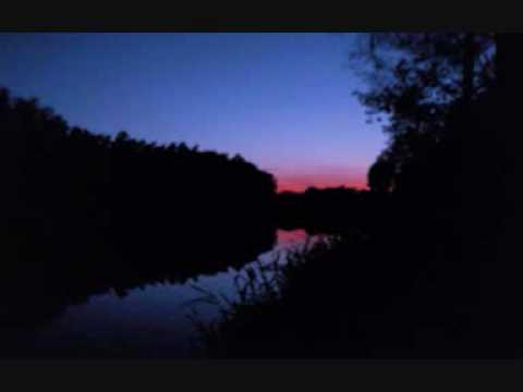 cesare vs disorder - the dream