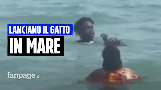Lanciano il gatto in mare per gioco, arrestati per maltrattamenti: “È mio e ne faccio cosa voglio”