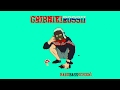 Hard Bass School Gribniki Rossii