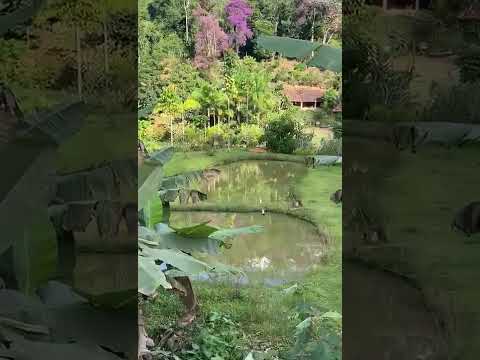 Santa Tereza - Região Serrana do Espírito Santo ao som da natureza. #espiritosanto #vida