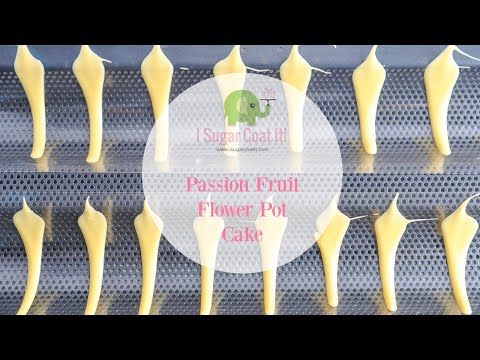 How To Make Chocolate Flower Cake.