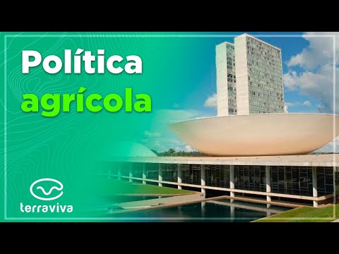 Confira um balanço de todas as pautas do Congresso Nacional em 2021: