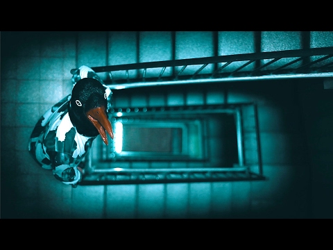 BIANCA CIOCCA- Blue Cherry  - ( Official Video )