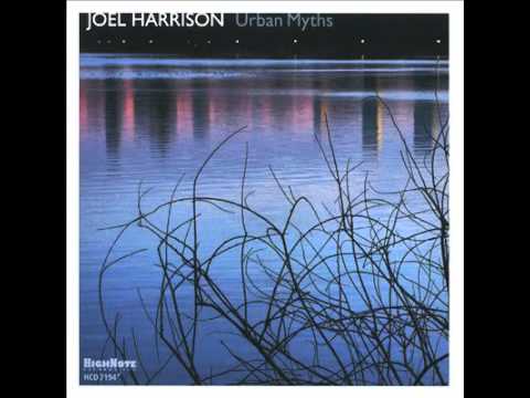 Joel Harrison - High Expectation Low Return