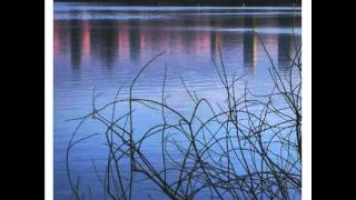 Joel Harrison - High Expectation Low Return