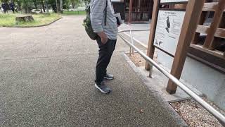 鵜飼も有名な岩国