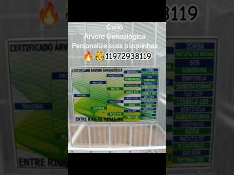 Enviei via Sedex para Entre Rios De Minas-MG 🔥🫅