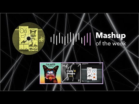 Galantis x Mesto x Curbi x Robbie Mendez - No Money x Bruh x Feel Alive (SEB Mashup)