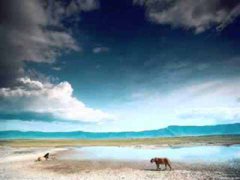 Rekardo Rivalo   African Beach   YouTube