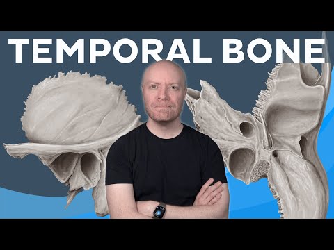 Anatomy of the temporal bone in less than 10 MINUTES | Kenhub