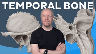 Anatomy of the temporal bone in less than 10 MINUTES | Kenhub