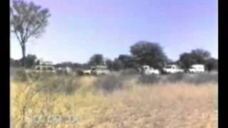 preview picture of video 'Kalahari 1987 C'
