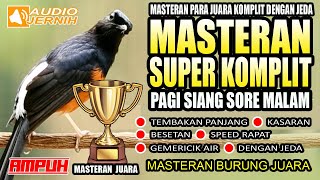 Download lagu MASTERAN SUPER KOMPLIT!!! MURAI BATU JUARA LOMBA | masteran disetiap waktu | murai batu | shama bird mp3