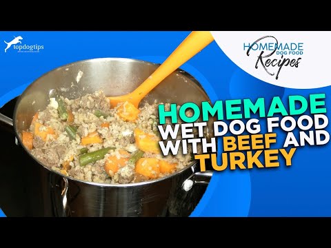 Recipe: Homemade Wet Dog Food with Beef and Turkey