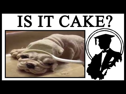 Why Is Everything Cake?