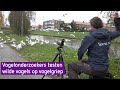 Vogels in het wild getest op vogelgriep