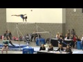 State 2016 Ali Bars