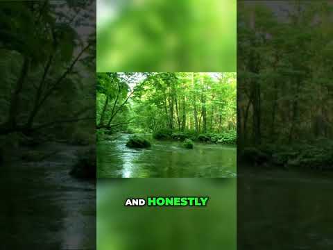 The Shape-Shifting Trickster of Japanese Folklore | The Tanuki - Lorekeeper’s Library