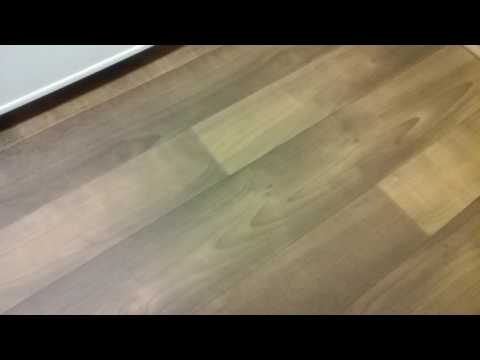 Extended Stay Hotel Sanitary Conditions Review from Tempe, Arizona
