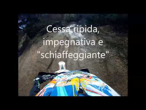 Cessa carina giro del 26 02 2017