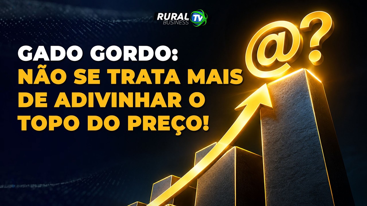 GADO GORDO: NÃO SE TRATA MAIS DE ADIVINHAR O TOPO DO PREÇO!