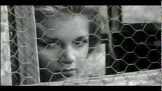 Motorpsycho 'Demon Box' (EKF) ..X M.D.R(Movimento della rete)