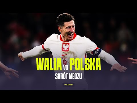 FINAŁ BARAŻY: Walia - Polska 0-0 (4-5) [SKRÓT MECZU]