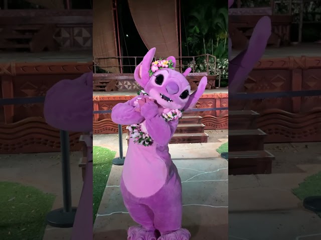 Vídeo relacionado con Disney Chubasquero Stitch, Chubasquero Niña De Lilo Y Stitch, Chaqueta Niña Impermeable, Ropa Impermeable De Angel, Púrpura 7-8 Años