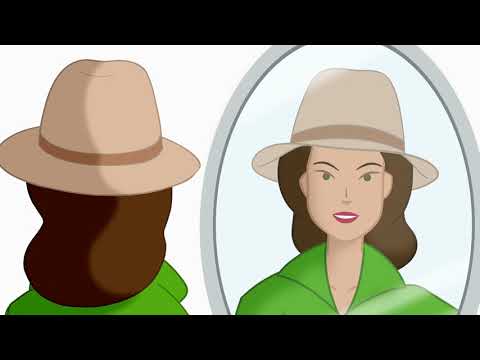 Description du Neurofeedback Neuroptimal®