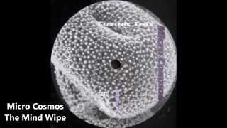 Micro Cosmos - The Mind Wipe